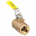 Apollo 7010527 Manual Two - Way Ball Valve 1 in, Bronze, Straight, FNPT x FNPT, 600 psi Max. Pressure (CWP) - ZenverasKV2EEJ5
