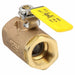 Apollo 7010527 Manual Two - Way Ball Valve 1 in, Bronze, Straight, FNPT x FNPT, 600 psi Max. Pressure (CWP) - ZenverasKV2EEJ5