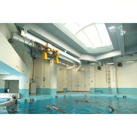 Harrington NERM020L - L - 20 Electric Chain Hoist H4 Heavy Duty, Motorized Trolley, 208 - 230/460V AC, 20 ft Lift Lg - ZenverasKV6HJN7