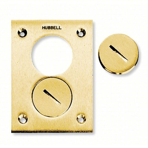 Hubbell S3625 Floor Box Cover, Rectangular, 2-Gang, Brass - ZenverasKV3D441