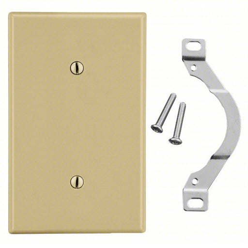Hubbell P14I Blank Strap Mount Wall Plate Blank, Plastic, Ivory, 0 Outlet Openings, 0 Switch Openings - ZenverasKV55KR85