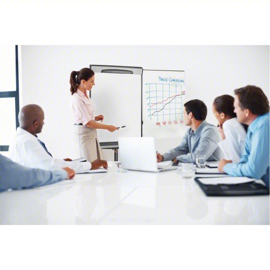 Mastervision EA48062119 Dry Erase Board Mobile/Casters, 42 in Dry Erase Ht, 29 1/2 in Dry Erase Wd, 27 in Dp, Black, White - ZenverasKV52XG93